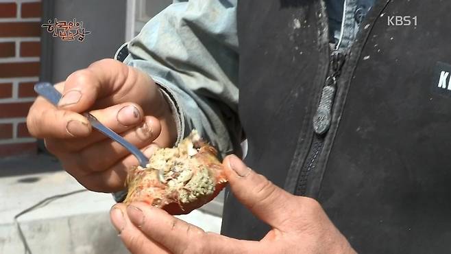 한국인의 밥상 - 왕밤송이게 된장찌개 , 왕밤송이게 찜(스압) 한국인의 밥상 - 왕밤송이게 된장찌개 , 왕밤송이게 찜.jpg