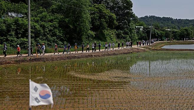 “80년 전 유월의 들녘에도 모가 심겨 있었겠죠.” 장산전망대를 출발한 디엠제트(DMZ) 생명평화순례단과 시민들이 임진각까지 순례하고 있다.