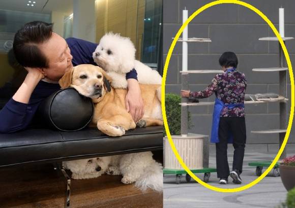 >반려견과 함께 있는 윤석열 전 대통령, 아크로비스타에서 관계자가 옮기고 있는 캣타워 [사진=윤석열 전 대통령실, 연합뉴스]