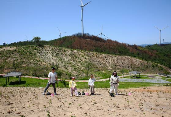 영덕으로 여행 왔다가 산불 피해지역에서 진달래 묘목을 심고 있는 이종열씨 가족.