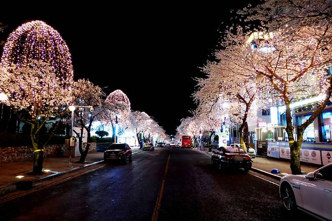 부곡온천 빛거리 전경