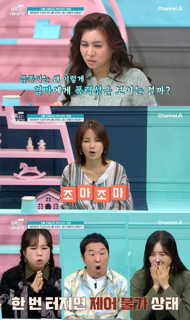 채널A ‘요즘 육아 - 금쪽같은 내새끼’