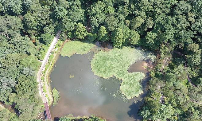 국립수목원 육림호.