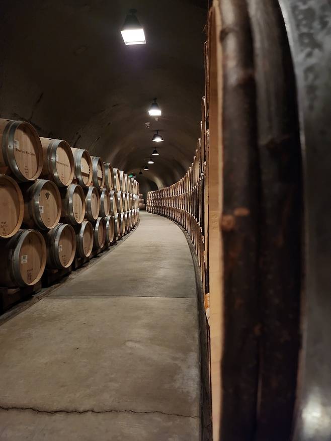 오크통이 잔뜩 쌓인 미국 캘리포니아 나파밸리 스택스립 와인 셀라의 모습. [전형민 기자]