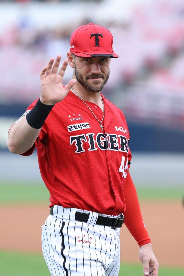 위즈덤/KIA 타이거즈