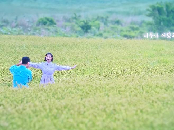 ‘폭싹 속았수다’ 최종화 오라동 청보리밭 장면. 영상 캡처