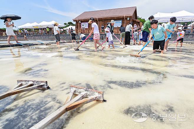 15일 오전 시흥시 갯골생태공원 염전체험장에서 열린 제8회 시흥염전소금제에서 어린이들이 염전체험을 하며 즐거운 시간을 보내고 있다. 임채운기자