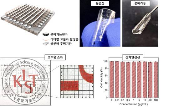 한국과학기술연구원은 고성능 정보 저장 기능을 갖추면서 물에 담그면 수일 내 완전히 분해되는 고분자 소재를 개발했다. KIST 제공