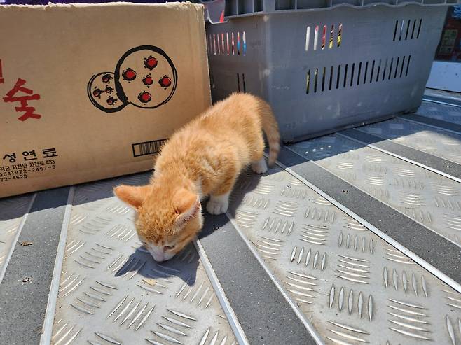 1000025477.jpg 바다 왔어요~~~