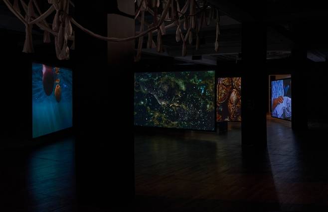 제13회 베를린 현대미술 비엔날레 설치 작품. (작가 제공)