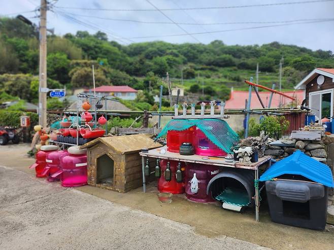 쑥섬의 고양이 쉼터.