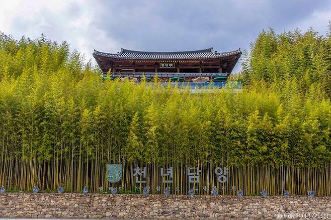 담양에서 시원한 대숲의 노래를 들으며 힐링해보자. 사진은 외부에서 본 죽녹원 모습. /사진=한국관광공사