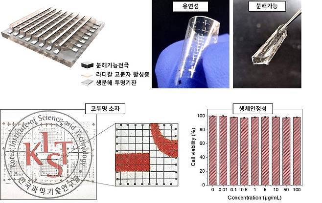 완벽히 사라지는 생채적합형 친환경 고성능 메모리 소자.[KIST 제공]