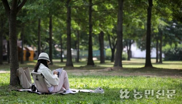 ‘산책드로잉’ 참가자가 나무 아래에 앉아 여름 풍경을 그리고 있다. 초록색이 주는 편안함과 공원의 여유로움이 느껴진다.