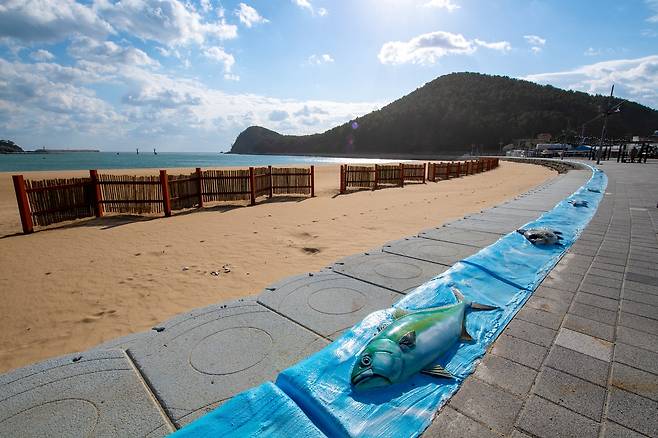 새롭게 개장 앞둔 다대포 동측해변  [부산 사하구 제공. 재판매 및 DB 금지]