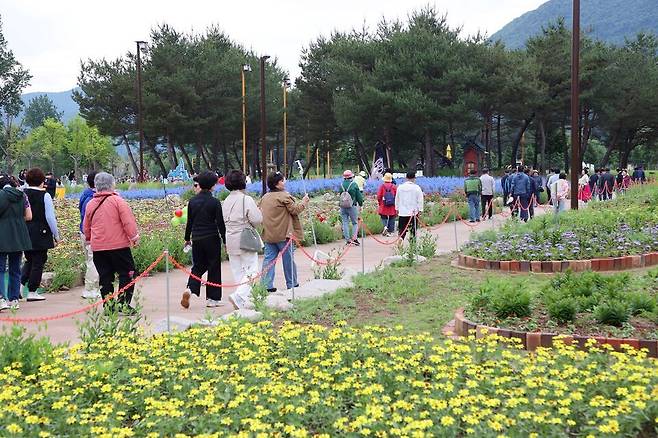 ▲ 자라섬 꽃 페스타를 보는 관람객. /사진제공=가평군