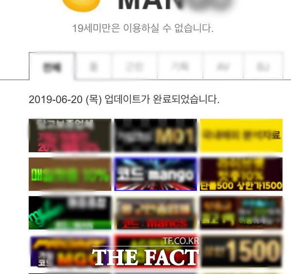 A 씨가 운영하던 불법 성영상물 유포 사이트. /대전경찰청