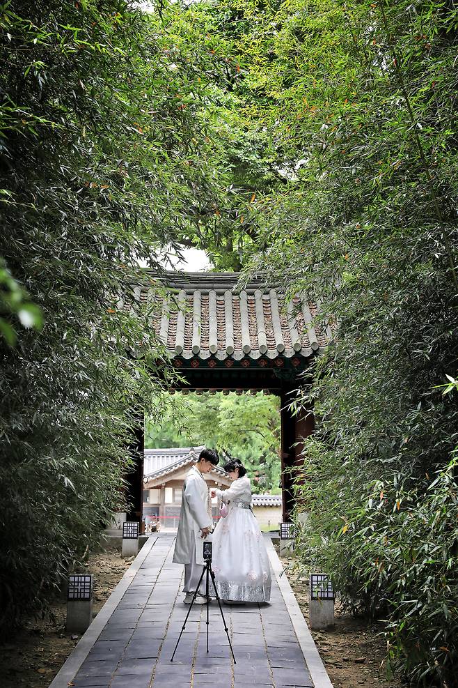 경기전 내 대숲은 커플 사진을 찍는 이들이 줄을 잇는다. 호젓한 산책로가 있어 잠시 쉼표 찍기 좋다. / 주민욱 영상미디어 기자