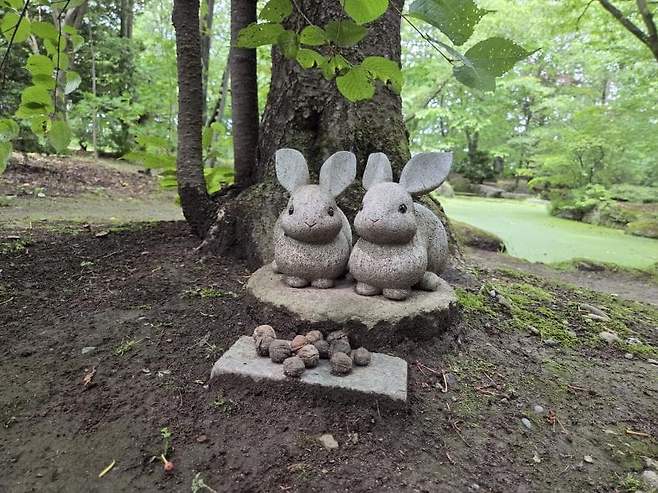 viewimage.php?id=23b2db27ebc637&no=24b0d769e1d32ca73de883fa1bd62531caf022a001a6328b8fcf4dbd347c71c7aaaad0c21bbd7a347ba6d1f5940dce9691776eb4fd2b7b27f646f0c8562751a32d0d