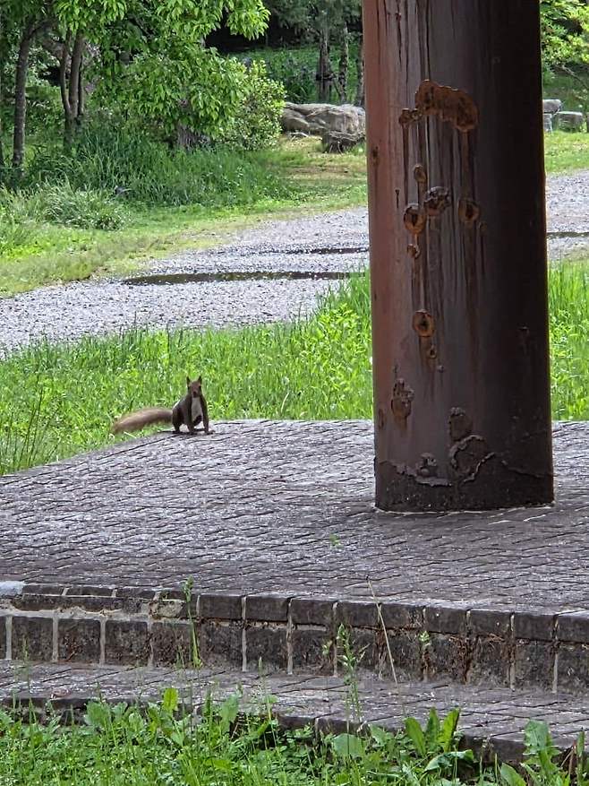 viewimage.php?id=23b2db27ebc637&no=24b0d769e1d32ca73de883fa1bd62531caf022a001a6328b8fcf4dbd347c71c7aaaad0c21bbd7a347ba6d198f20cc1999dbcd6c1648d1e7e20f929a5c7844002d20ffc