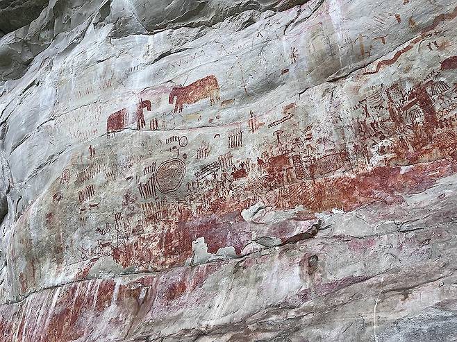 콜롬비아 세라니아 데 라 린도사의 암각화 벽. 사진 출처 위키피디아