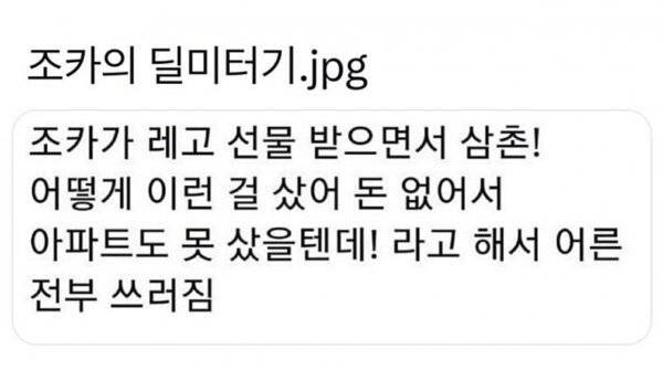 레고 선물받은 조카의 비수