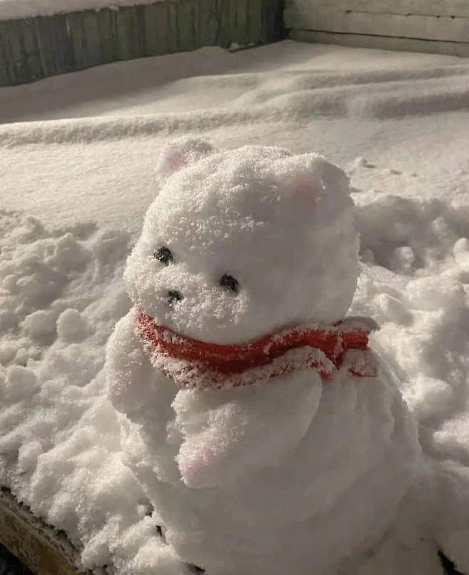 1000007900.jpg 어느 디씨인이 만든 힐링되는 눈사람.jpg