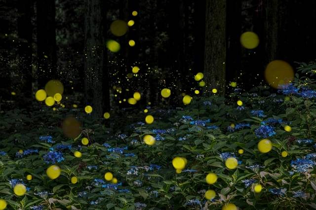 기사의 이해를 돕기 위한 이미지로 기사와 직접적 연관은 없습니다. 이미지투데이