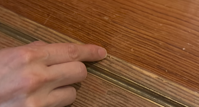 윤씨의 아내가 밝았다는 가시. [사진 = 윤튜브]