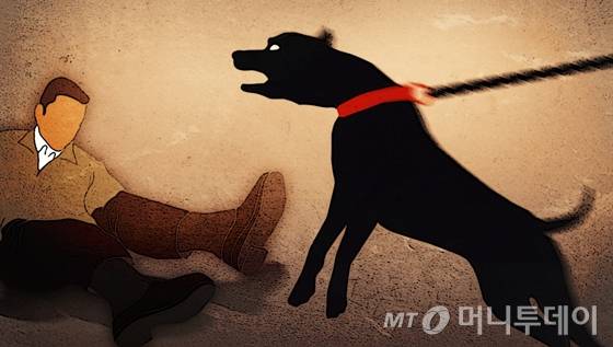 임종철 디자인기자 /사진=임종철 디자인기자