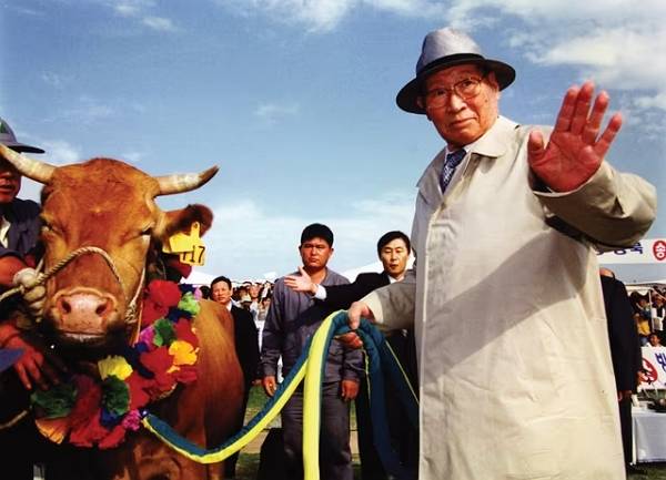 1998년 6월16일 정주영 현대그룹 명예회장이 소떼를 끌고 휴전선을 넘었다. 사진은 정주영 현대그룹 명예회장이 1998년 6월16일 소떼를 끌고 북한으로 향하는 모습. /사진=현대그룹 제공