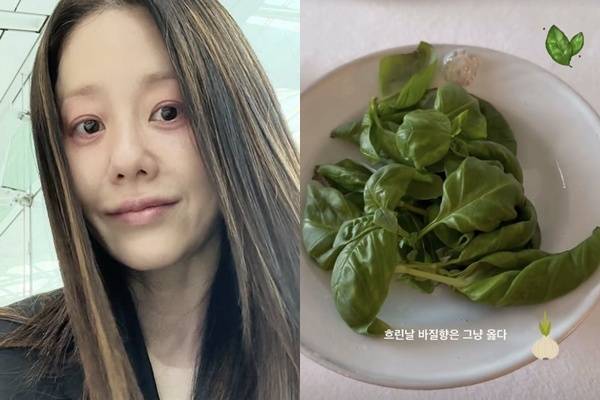 고현정 소셜 계정 캡처