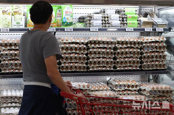 [서울=뉴시스] 조수정 기자 = 16일 식품의약품안전처에 따르면 지난해 식중독은 총 320건, 환자 6800명이 발생했으며, 원인병원체는 살모넬라가 18%로 가장 많았다. 이어 노로바이러스 12%, 병원성대장균 12% 순이었다. 주요 원인 식품은 달걀을 원료로 조리한 계란말이, 계란지단 등 달걀 조리식품이 가장 높은 비율을 차지했으며 그 외에는 달걀이 들어가는 김밥, 도시락 등으로 나타났다. 지난달 23일 서울 시내 한 대형마트에서 소비자들이 계란을 고르고 있다. 해당 사진은 기사와 직접 관련이 없습니다. 2025.05.23. chocrystal@newsis.com