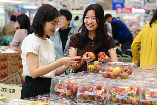 농협유통 서울 양재점에서 소비자들이 제철을 맞은 천도복숭아를 고르고 있다. 농협유통