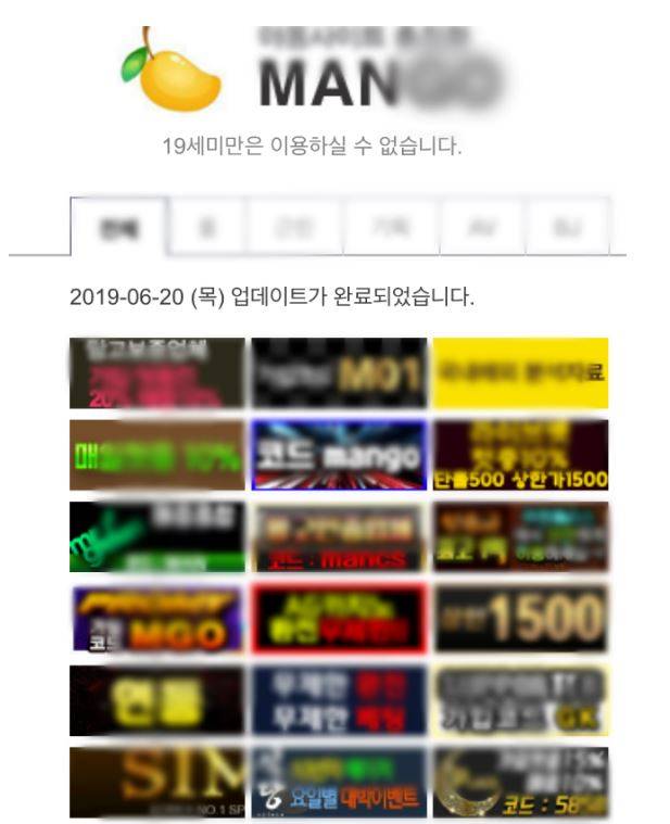 ▲대전경찰청이 불법 성인물 유포 사이트와 불법 성매매업소 소개 사이트를 개설-운영한 해외 총책 A 씨(50)를 에콰도르 현지에서 검거해 국내로 강제송환한 뒤 구속했다. 이들이 지난 2017년부터 2020년까지 운영한 사이트 ⓒ대전경찰청