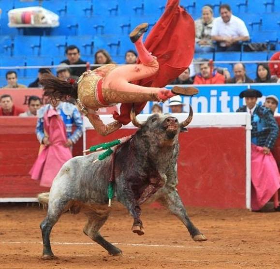 한 투우사가 황소에 치어 공중으로 날아가고 있다. 투우의 위험성을 잘 보여주는 장면이다. EPA 연합뉴스