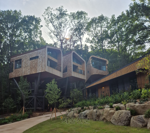 수락휴의 14m 높이에 설치된 트리하우스. 서유미 기자