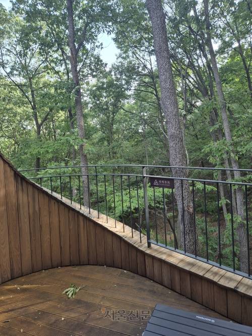수락휴 트리하우스의 베란다에서 바라본 숲 풍경.  서유미 기자