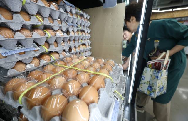 12일 서울 동대문구 롯데마트 청량리점에서 시민들이 계란을 고르고 있다. 연합뉴스.