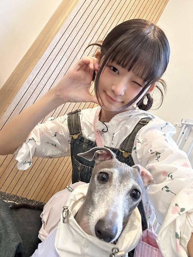 아이브 레이, 반려견 테토와 특별한 우정 "마음 열어줘 기뻐"[집 나가면 개호강]