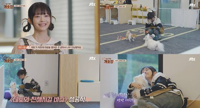 아이브 레이, 반려견 테토와 특별한 우정 "마음 열어줘 기뻐"[집 나가면 개호강]