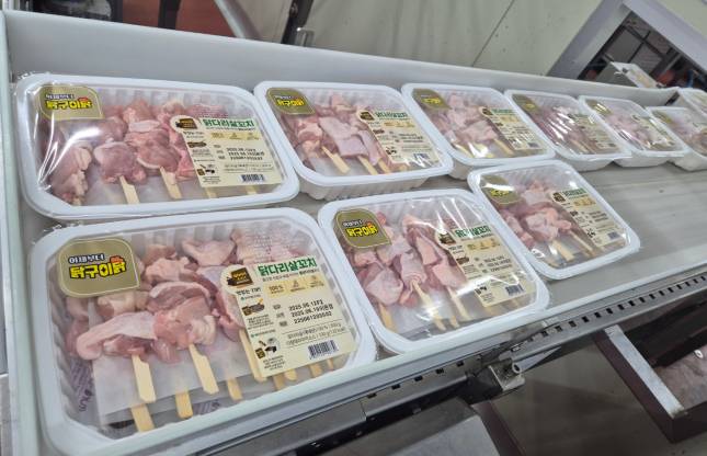 코리아더커드 남원 공장에서 생산 중인 이마트용 '구이닭' 꼬치/사진=김아름 기자 armijjang@