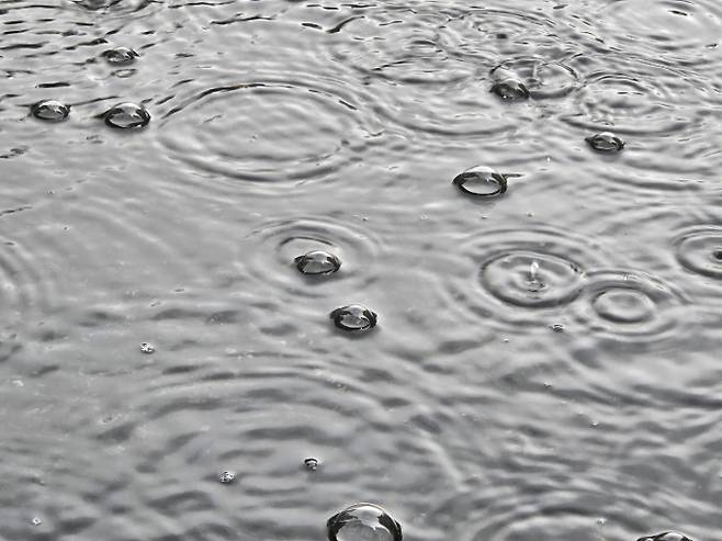 2025년 장마 ‘센놈이 온다’ 남부·중부 20일 시작...‘이젠 2025년 태풍이다’= 2025년 장마가 예년보다 일주일 빠르게 지난 12일 제주에서 시작한 가운데, 중부지방과 남부지방도 오는 20일께 장마기간에 들어갈 전망이다.우리나라 2025년 장마 시기가 예년보다 앞당겨지며, 이미 많은 비를 뿌렸다. 이에 2025년 장마기간 폭염과 폭우 등 기상 변화에 대한 관심이 높다. ⓒbnt뉴스