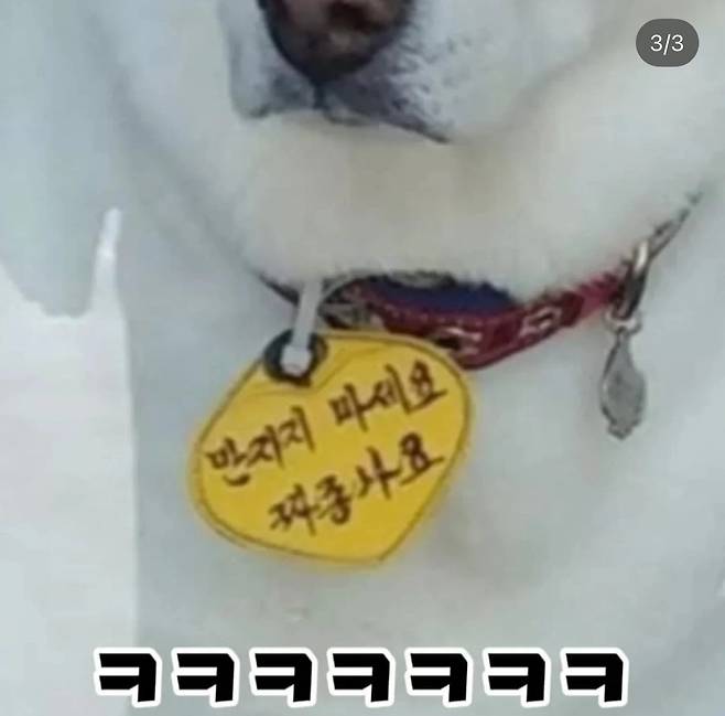 강아지 목줄 경고 문구 ㄷㄷ