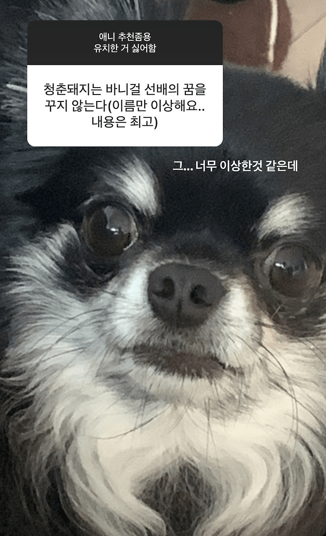 image (35).png 애니 추천해달라던 러블리즈 서지수의 최후...jpg