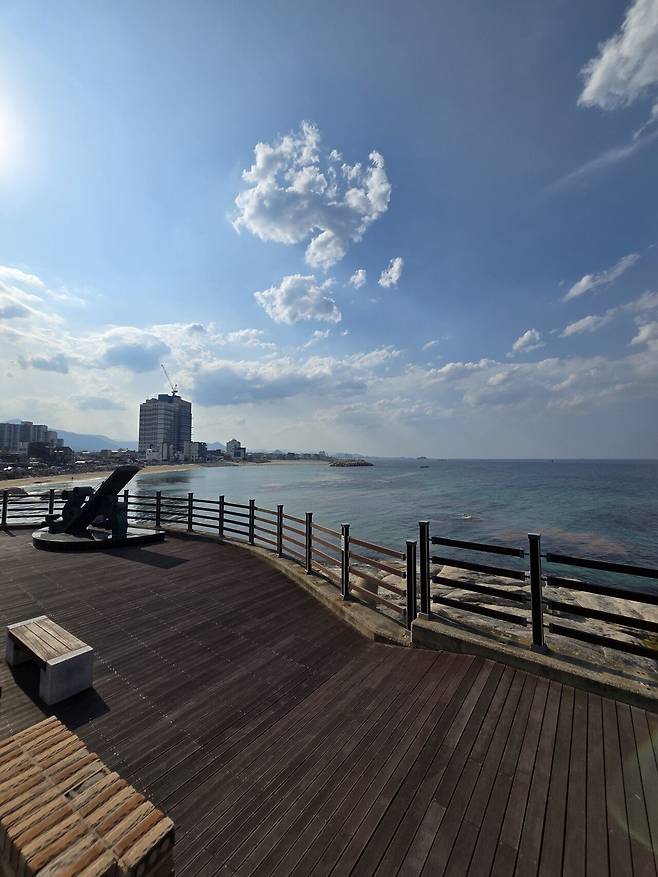 20250617_164025.jpg 속초왔어요 물회랑 오징어 먹어요