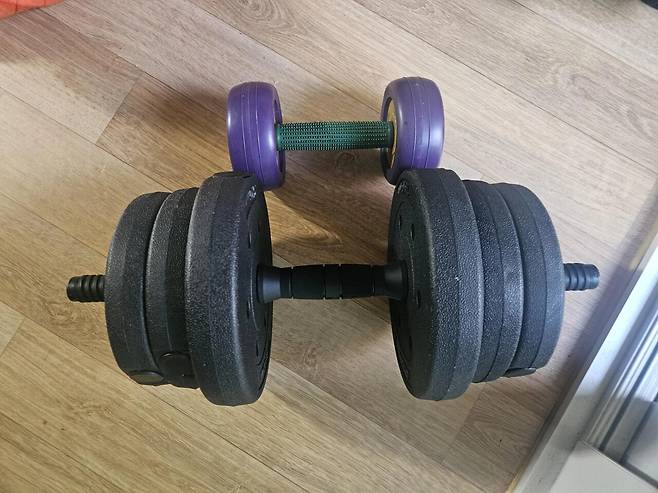 알리에서 산 아령