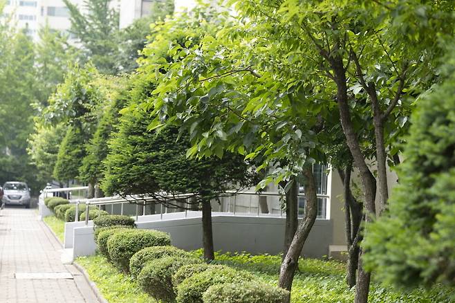 아파트 출입구 근처에 둥지를 튼 되지빠귀.