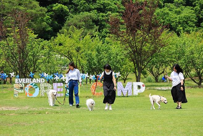 에버랜드 반려견 동반 비타민 캠프 ‘멍하니 걷개’ 론칭