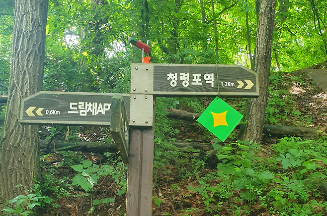 14일 강원도 영월에서 클린하이커스가 주최해 열린 ‘제1회 쓰레기줍기대회’ 코스 기점에 QR코드가 표시된 종이가 걸려 있다.[클린하이커스 제공]